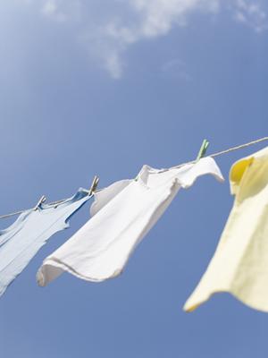 メーカーで必需品になる食品袋の専門店