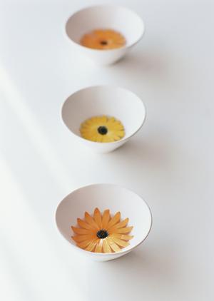 昇華プリントのゲームシャツならこちら